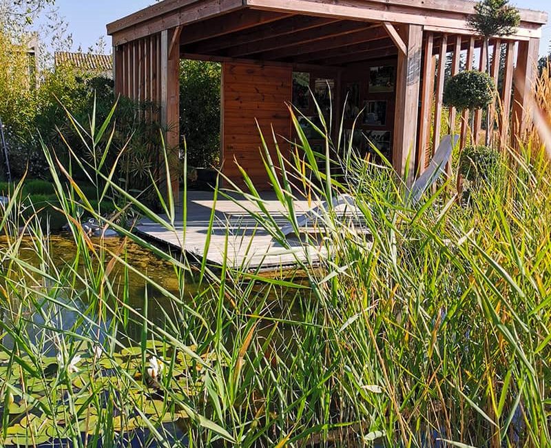 Paysagiste Aménagement Jardin Bassin Mare Avignon Châteaurenard Saint Remy Provence