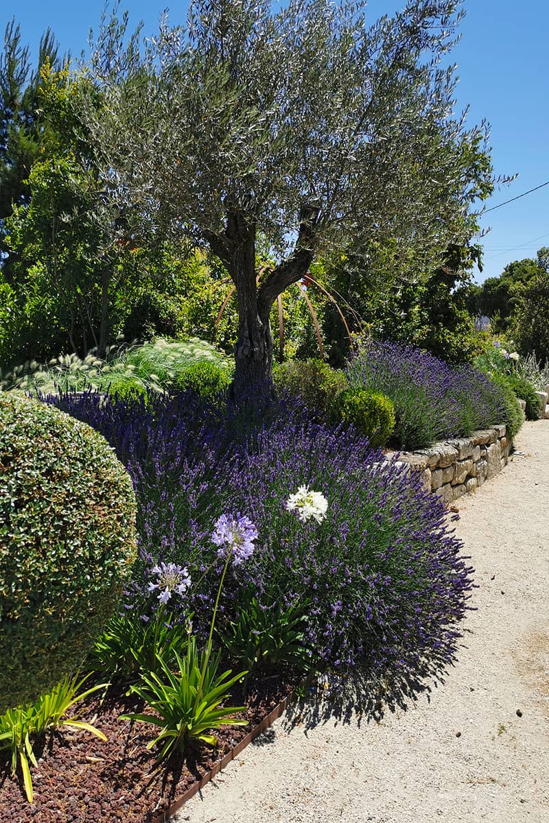 Paysagiste Aménagement Jardin Lubéron Avignon Châteaurenard Saint Remy Provence