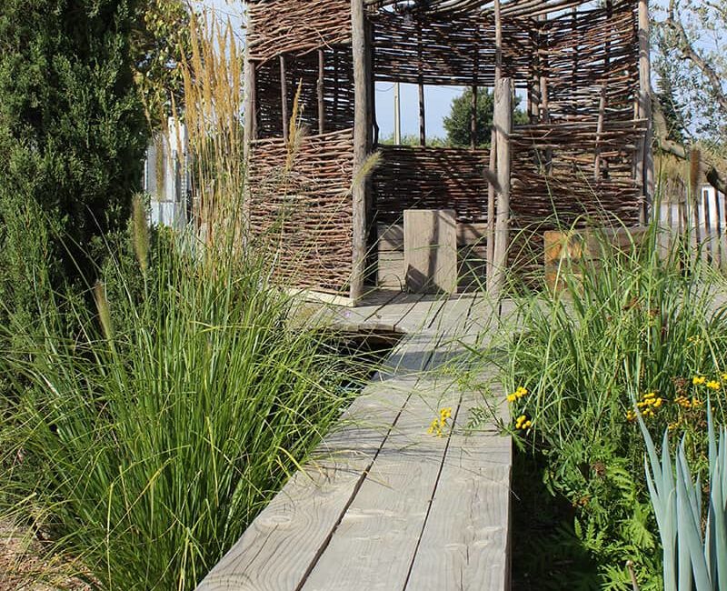 Paysagiste Aménagement Jardin Sauvage Avignon Châteaurenard Saint Remy Provence