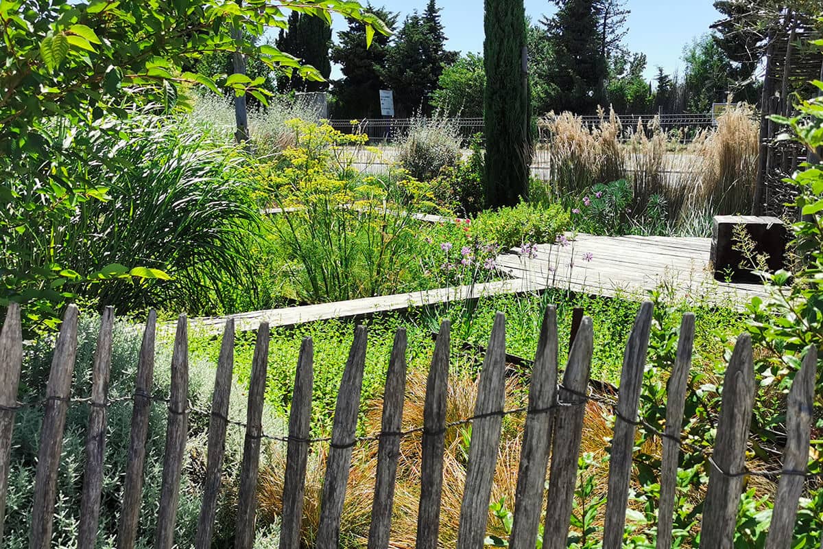 Paysagiste Aménagement Jardin Sauvage Avignon Châteaurenard Saint Remy Provence