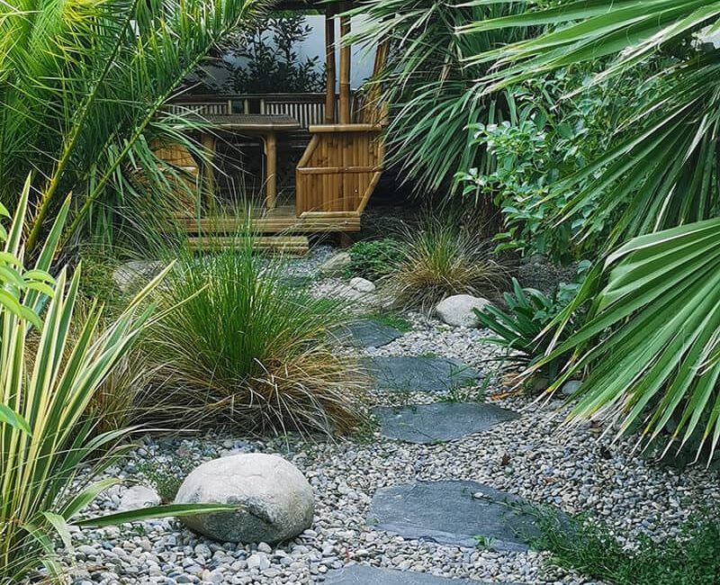 Paysagiste Aménagement Jardin Exotique Avignon Châteaurenard Saint Remy Provence