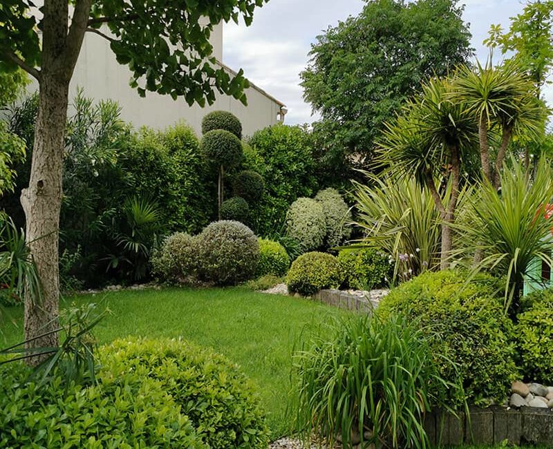 Paysagiste Aménagement Jardin Jeux de Formes Avignon Châteaurenard Saint Remy Provence